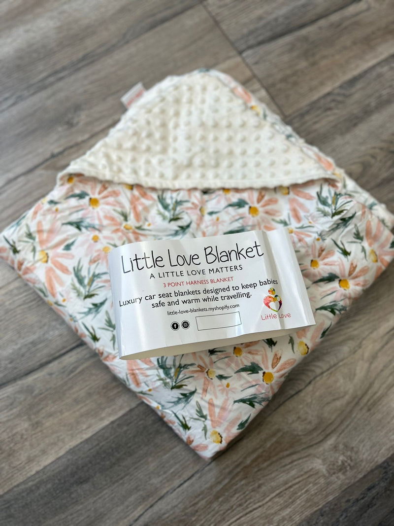 Little Love Blanket 3 Point Harness