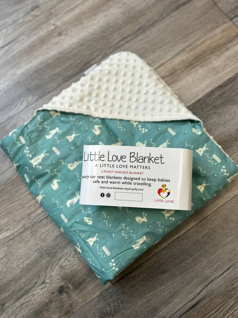 Little Love Blanket 3 Point Harness