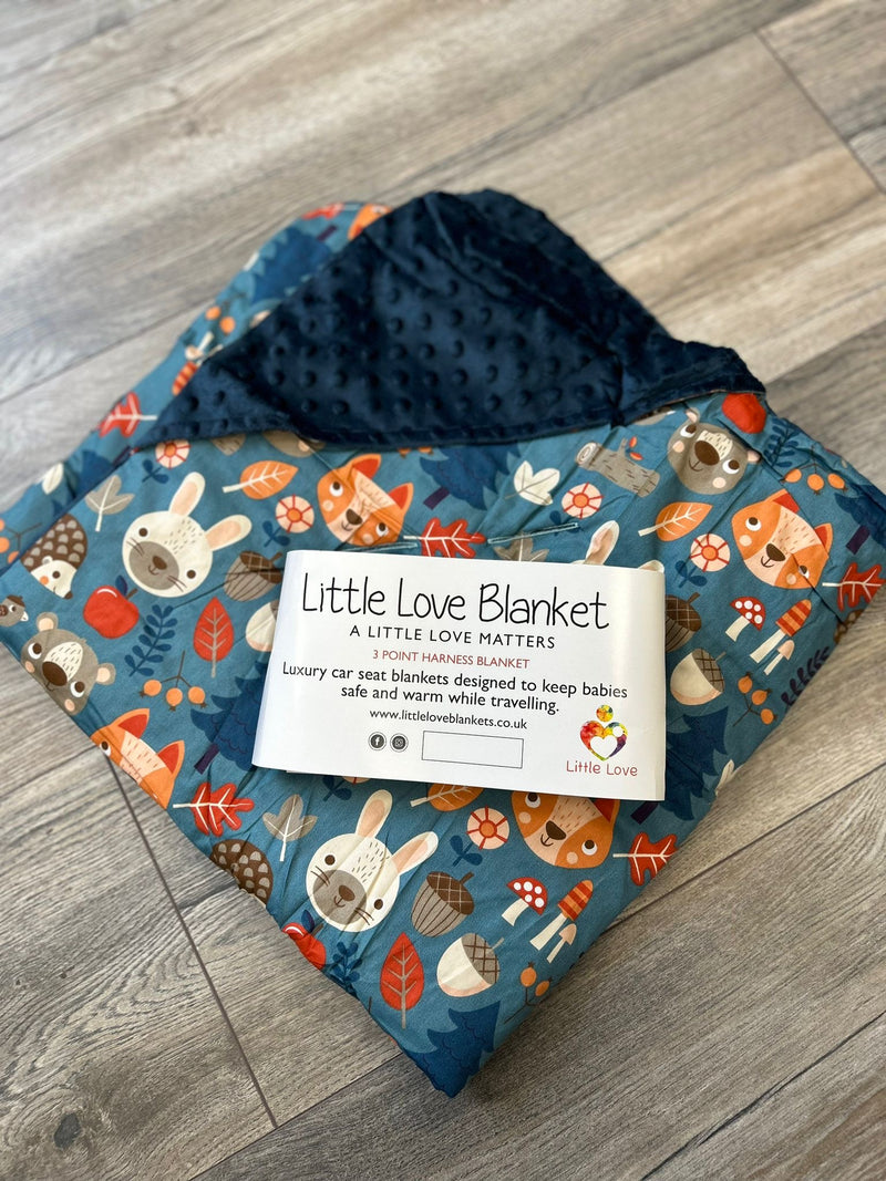 Little Love Blanket 3 Point Harness